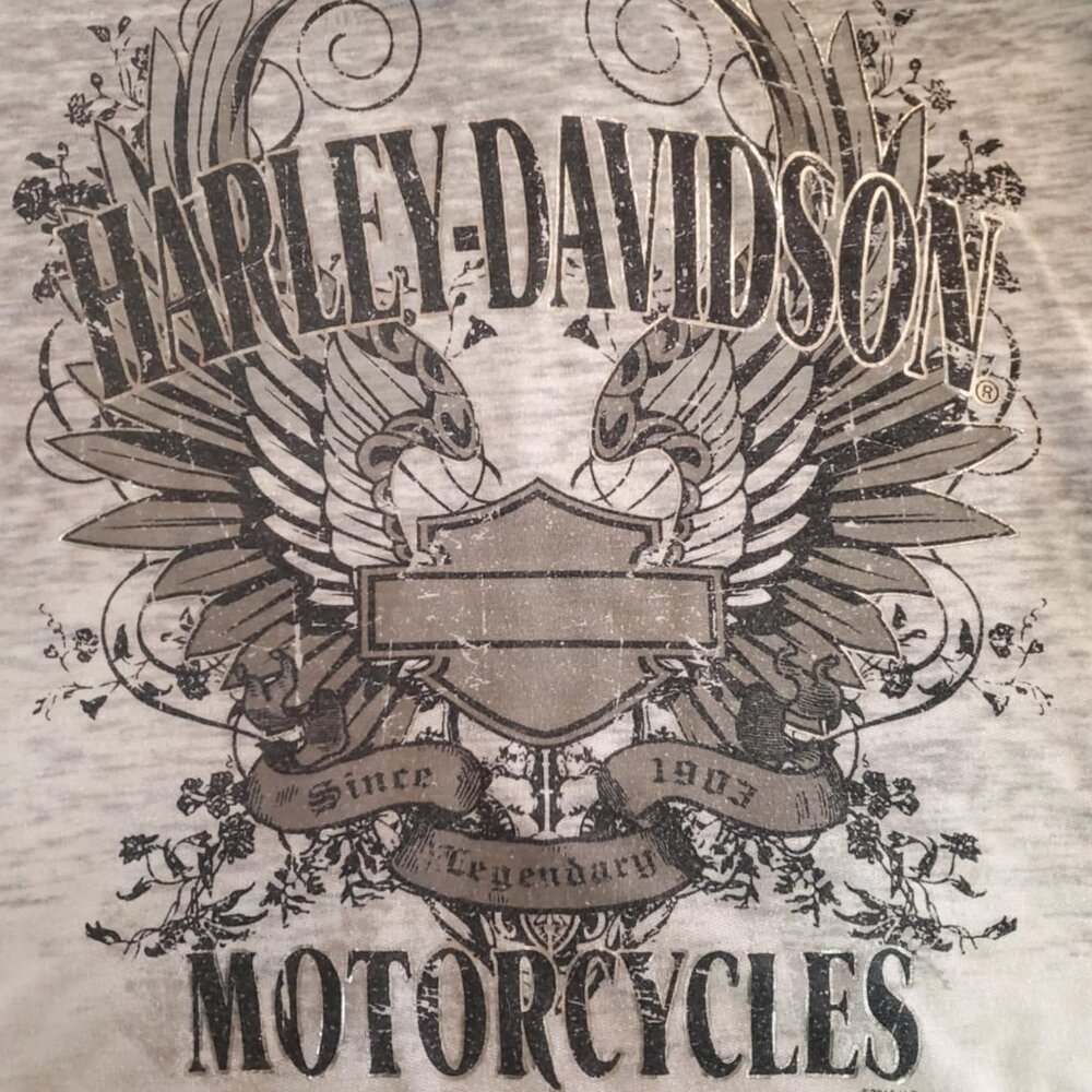 Harley Davidson 2010 Las Vegas Hoodie